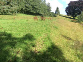 Field