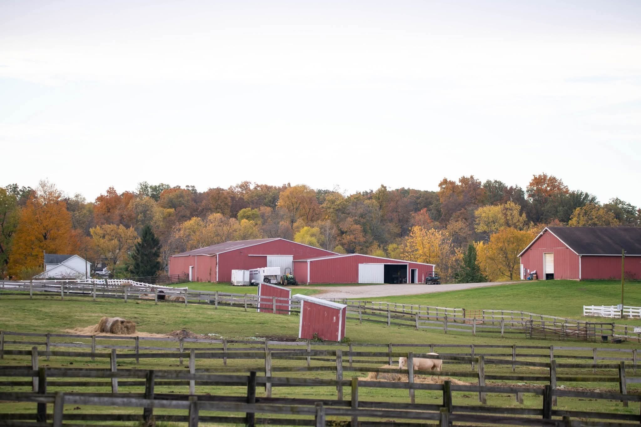 Beautiful 50 acre farm