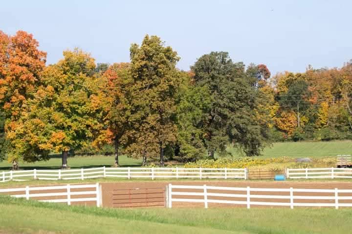 Outdoor arena 150 x 200