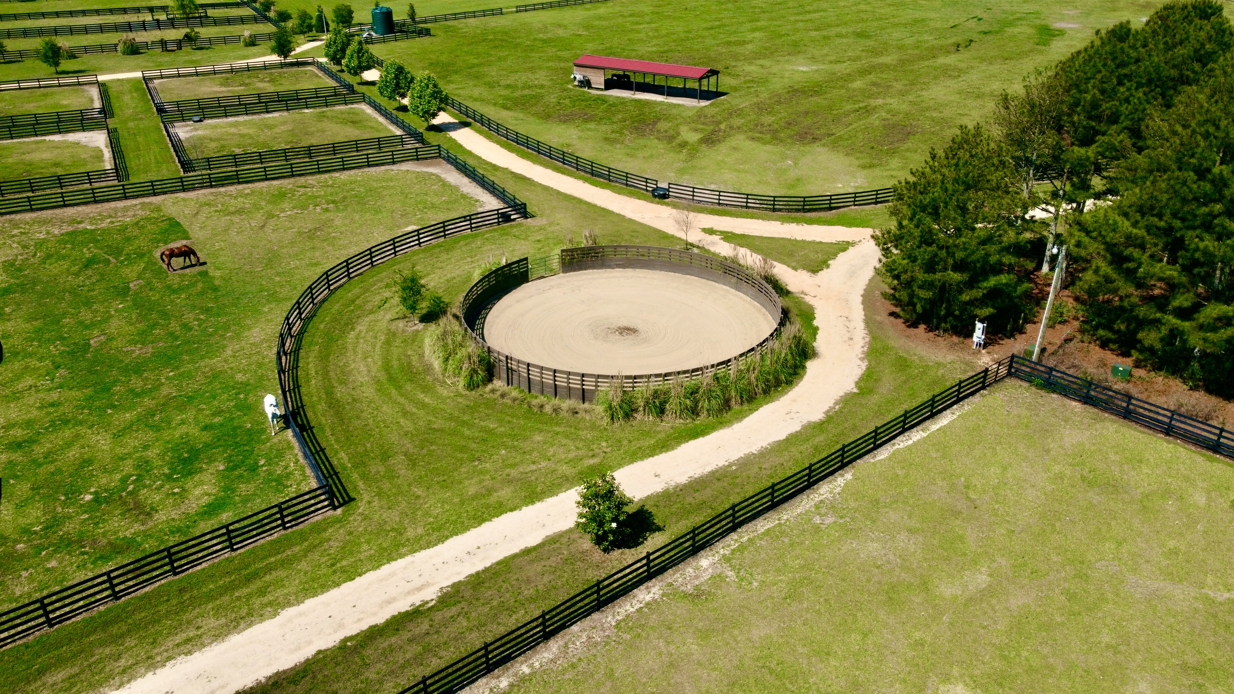 Large round pen with solid walls and sand footing with drainage