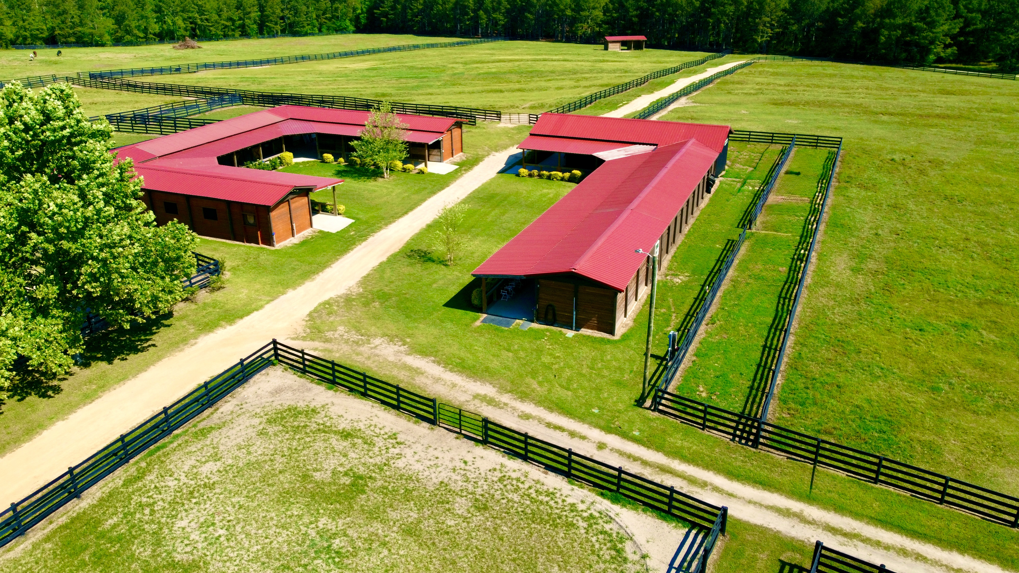 Two barns with oversize matted stalls