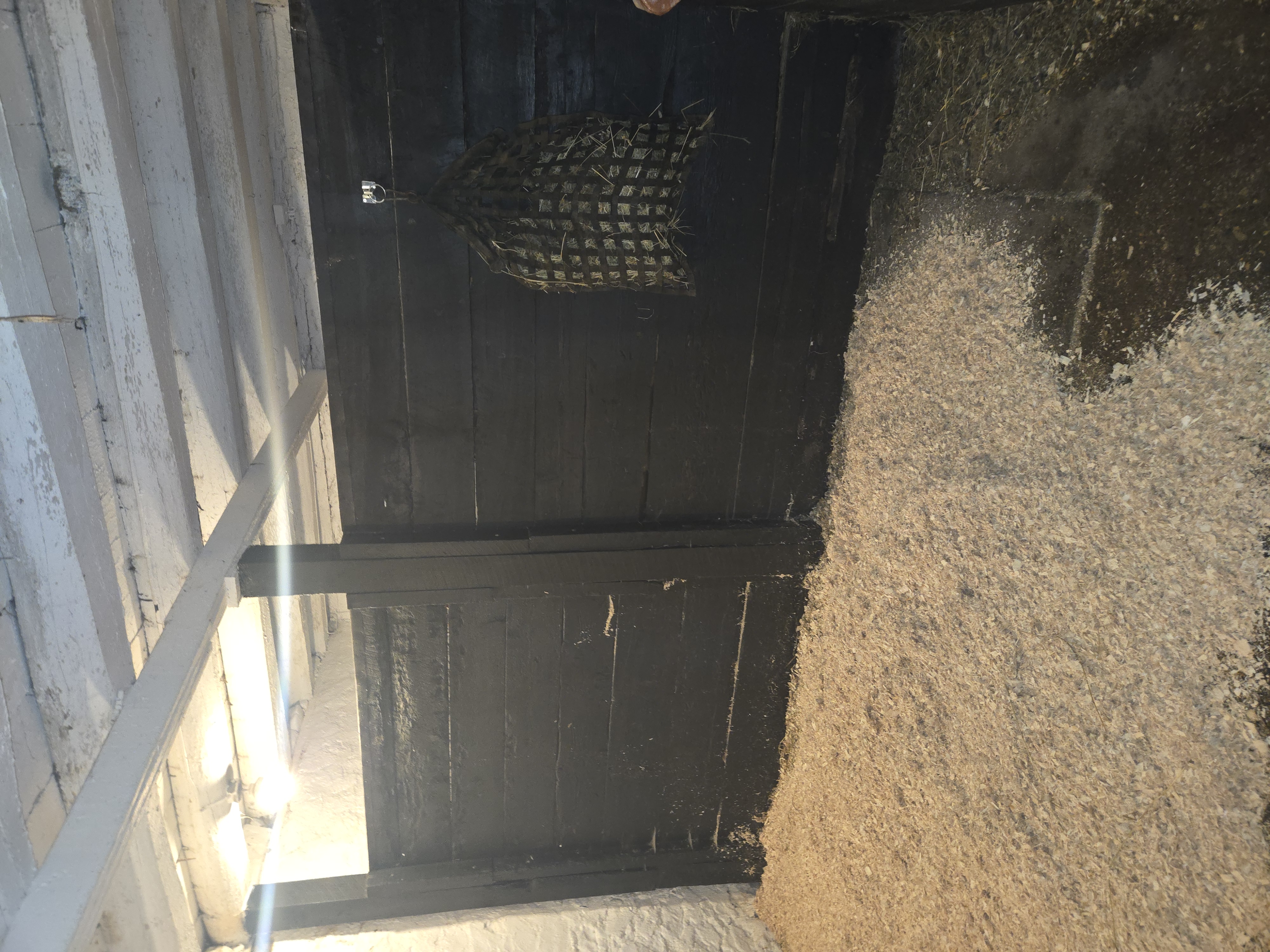 Stall
