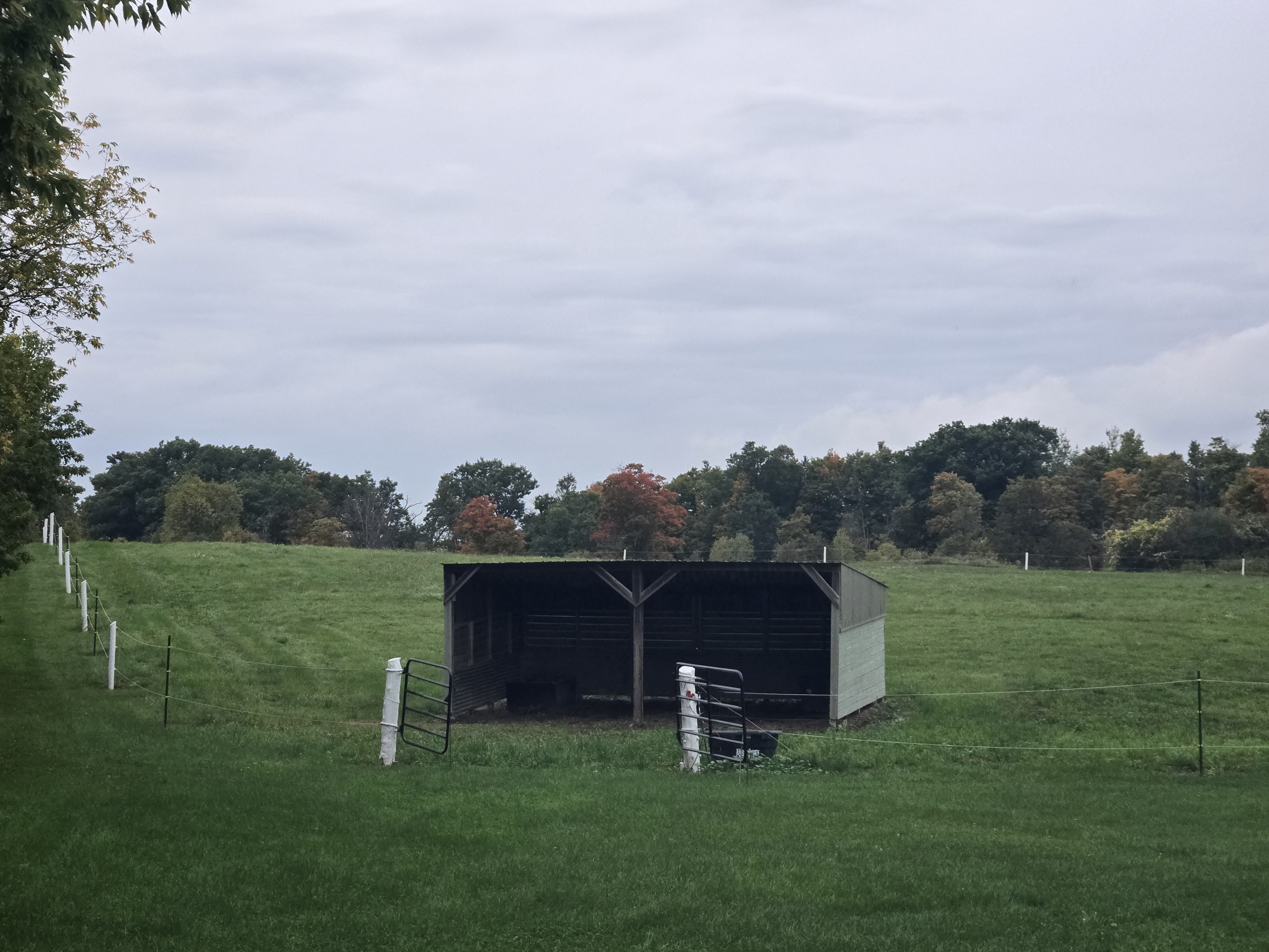 Pasture 2