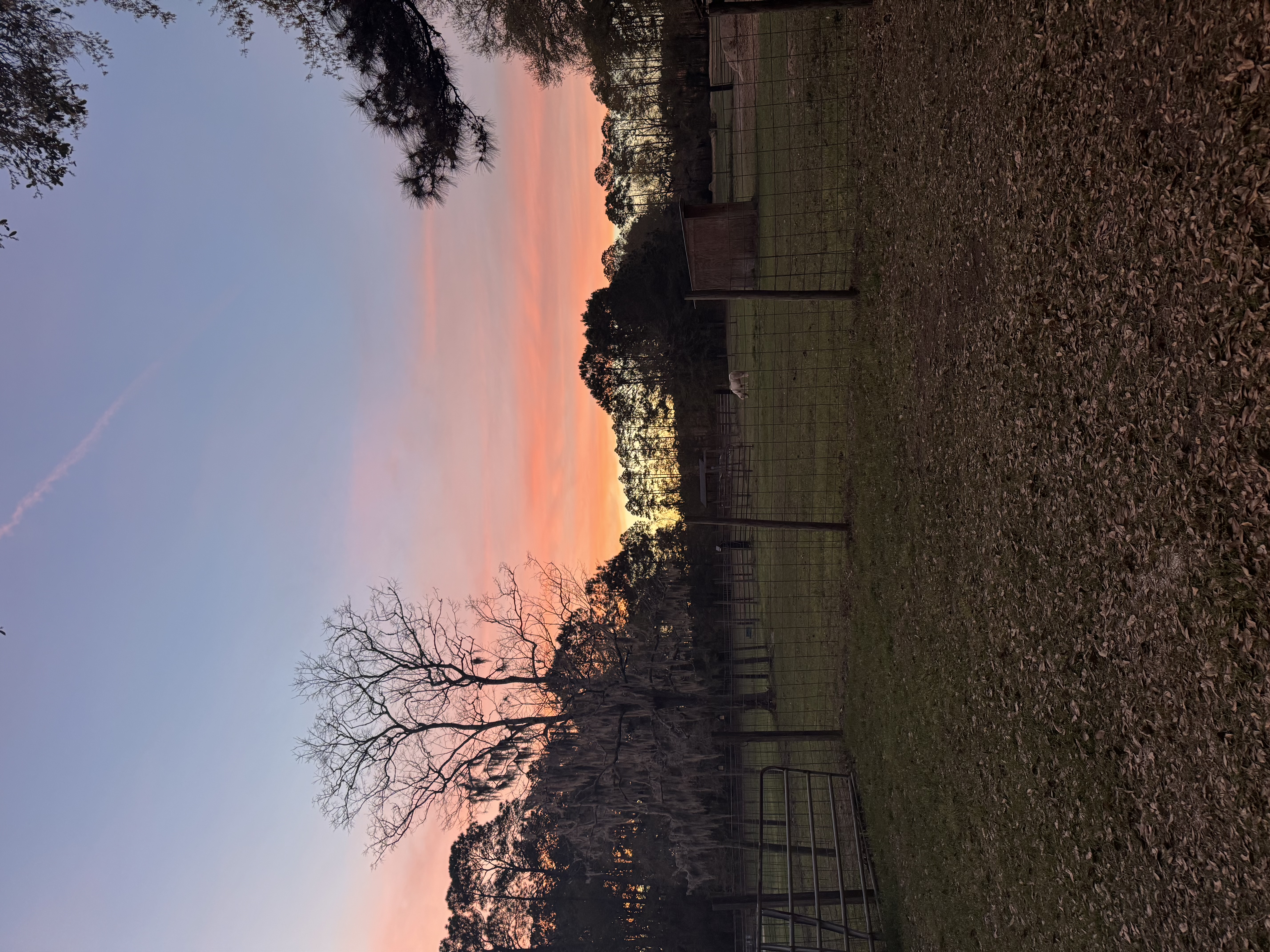 Front pasture