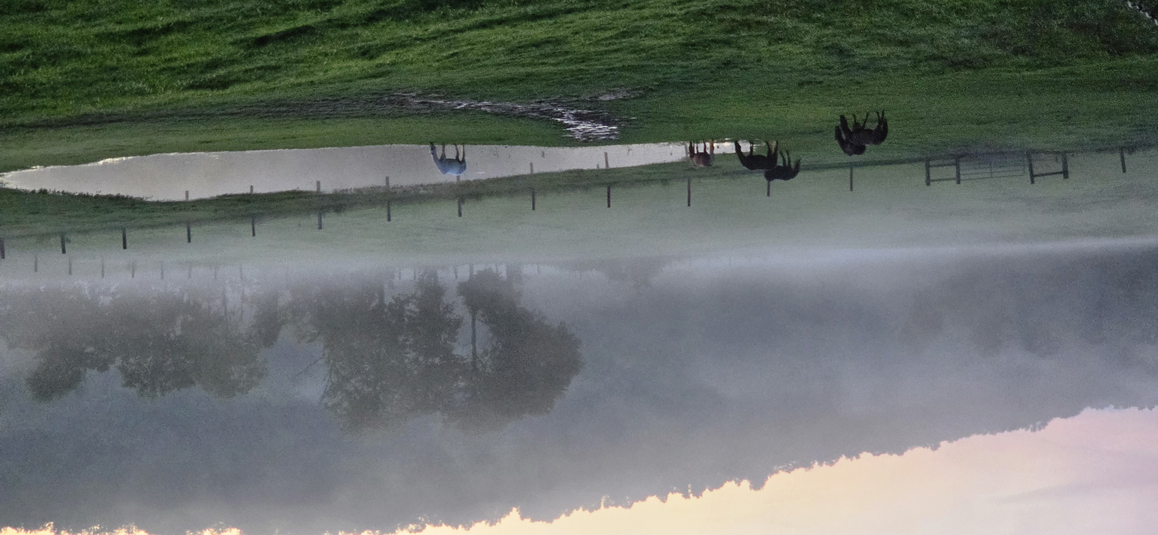 Fog rolling in