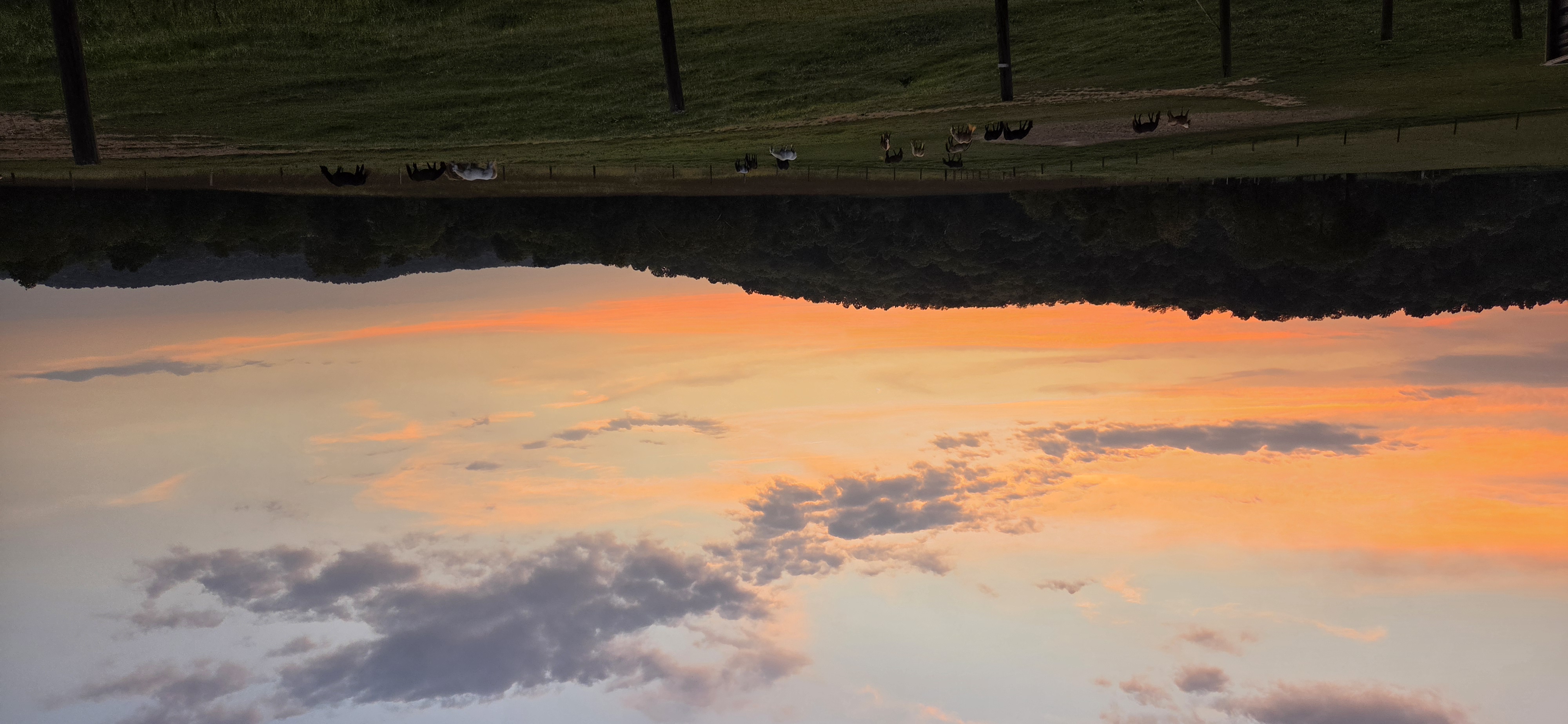 Summer sunset over the pasture