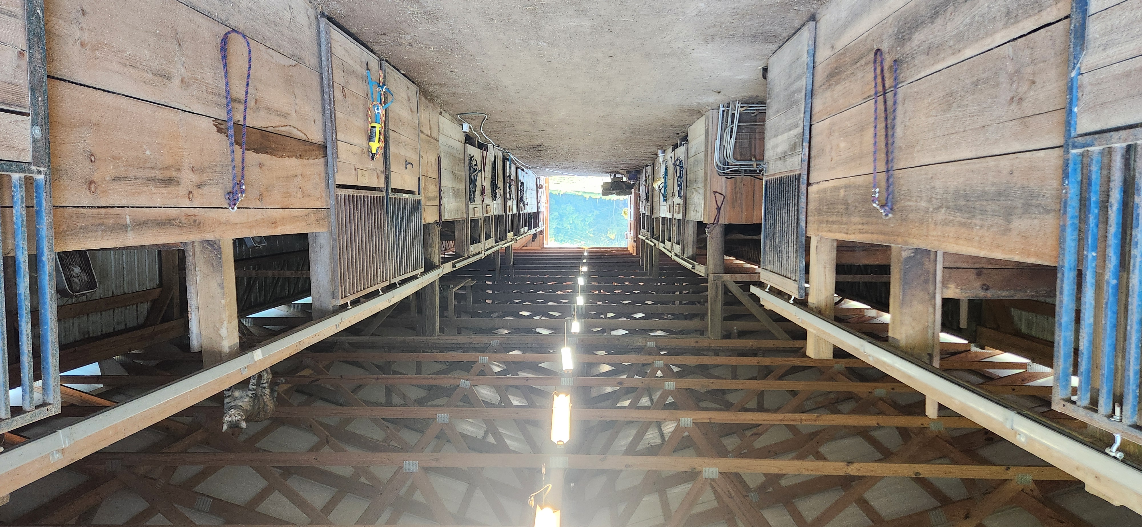 The 18 stall stable